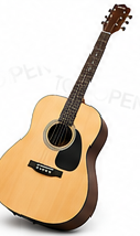 HarmonyPro Acoustic Guitar
