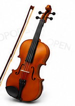 SilverChord Violin Set
