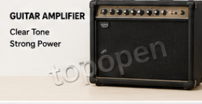 Guitar Amplifier Speaker